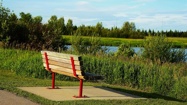 Comment le yoga peut aider à booster votre métabolisme